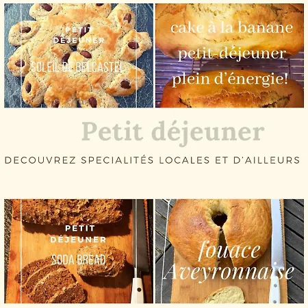 Moulin De Limayrac Bed & Breakfast Colombies